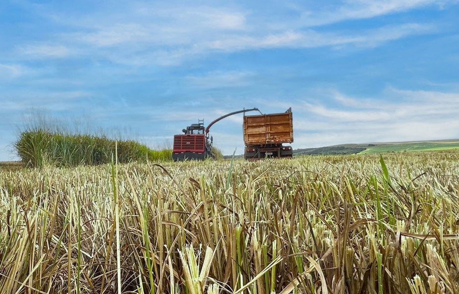 argri-crops-cropped-low-res.jpg