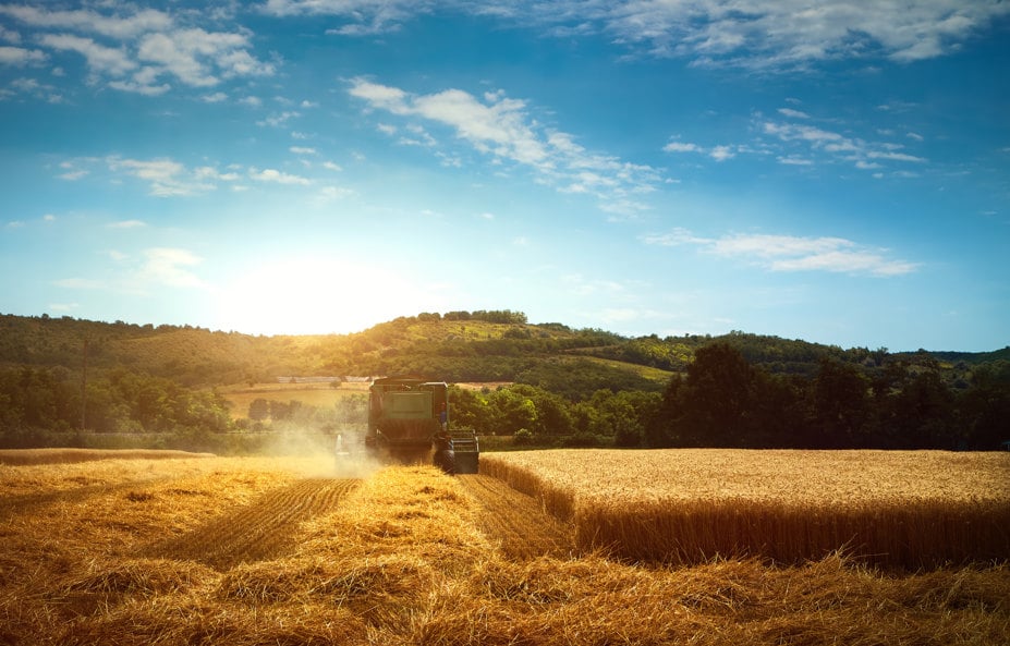 harvester-machine-to-harvest-wheat-field-working-2026-03-09-05-16-08-utc.jpg